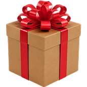 Mystery Gift